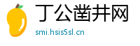 丁公凿井网